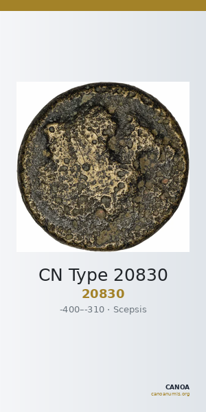 CN Type 20830 — CANOA