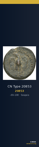 CN Type 20853 — CANOA