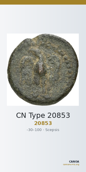 CN Type 20853 — CANOA