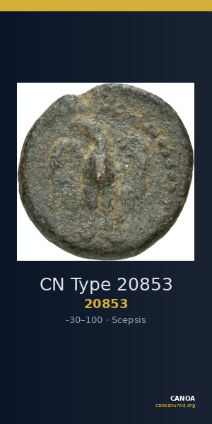 CN Type 20853 — CANOA