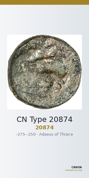 CN Type 20874 — CANOA