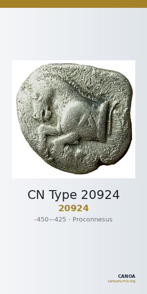 CN Type 20924 — CANOA