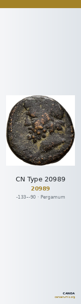 CN Type 20989 — CANOA