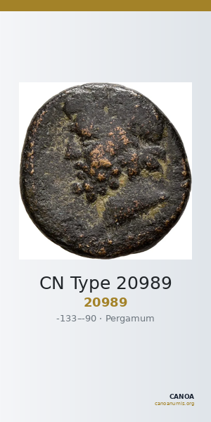 CN Type 20989 — CANOA