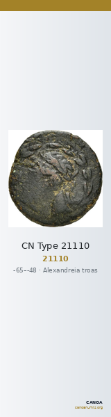 CN Type 21110 — CANOA