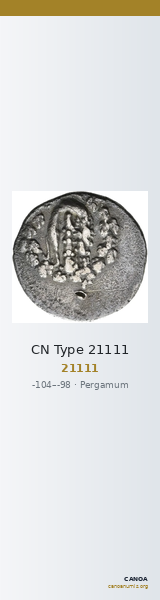 CN Type 21111 — CANOA