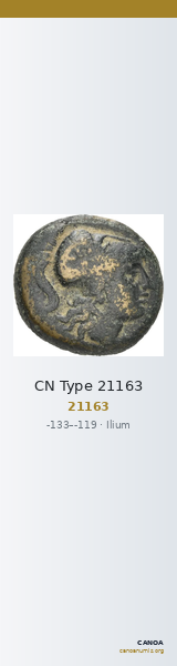 CN Type 21163 — CANOA