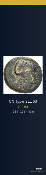 CN Type 21163 — CANOA