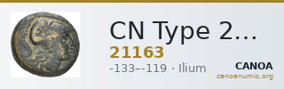 CN Type 21163 — CANOA