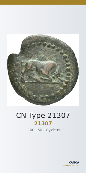 CN Type 21307 — CANOA