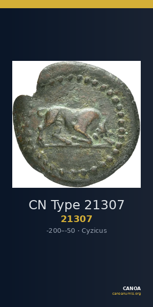 CN Type 21307 — CANOA