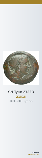 CN Type 21313 — CANOA