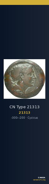 CN Type 21313 — CANOA