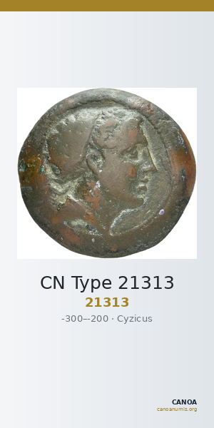 CN Type 21313 — CANOA