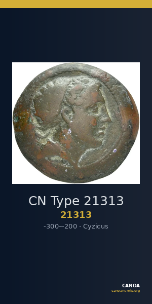 CN Type 21313 — CANOA