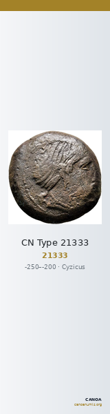 CN Type 21333 — CANOA