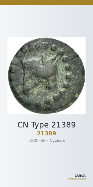 CN Type 21389 — CANOA