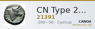 CN Type 21391 — CANOA