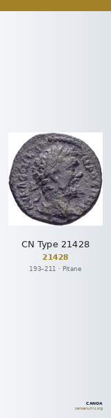 CN Type 21428 — CANOA