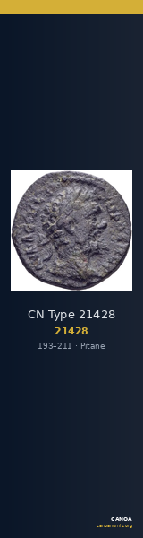 CN Type 21428 — CANOA