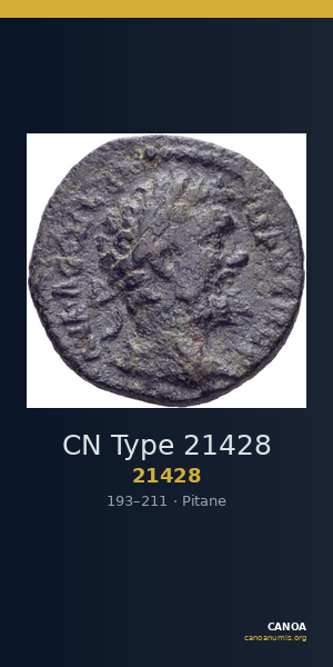 CN Type 21428 — CANOA