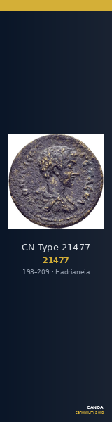 CN Type 21477 — CANOA