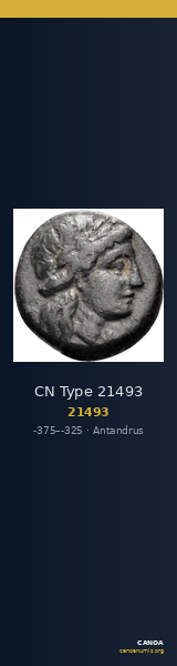 CN Type 21493 — CANOA