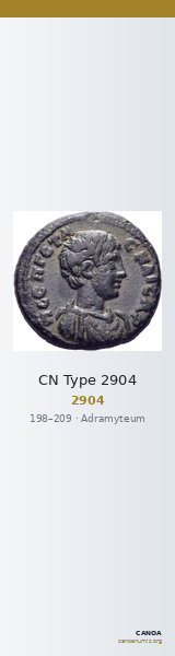 CN Type 2904 — CANOA