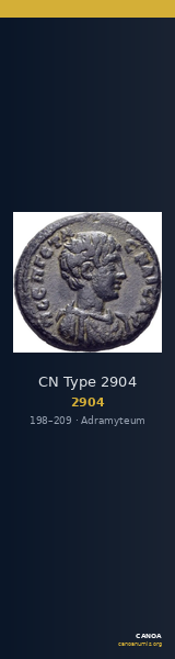CN Type 2904 — CANOA