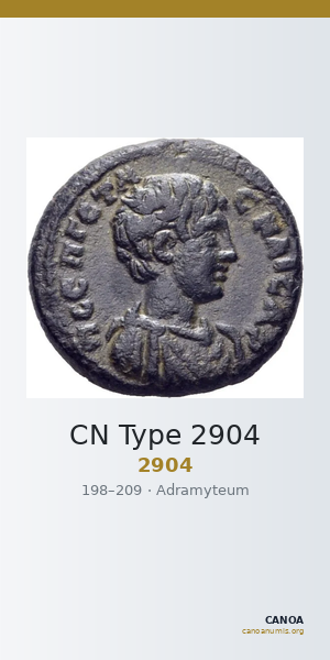 CN Type 2904 — CANOA