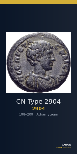 CN Type 2904 — CANOA