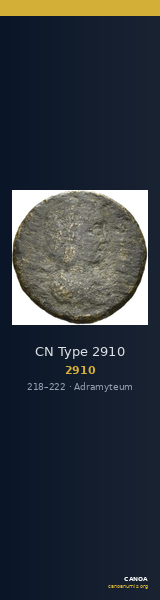 CN Type 2910 — CANOA
