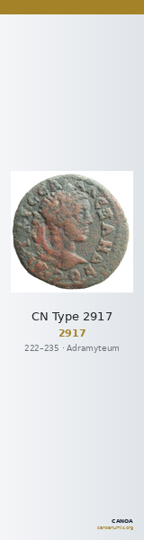 CN Type 2917 — CANOA