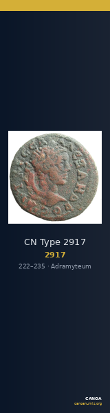 CN Type 2917 — CANOA