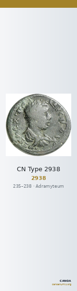 CN Type 2938 — CANOA