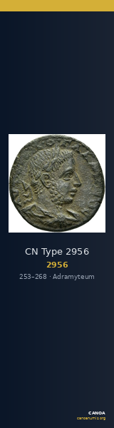 CN Type 2956 — CANOA