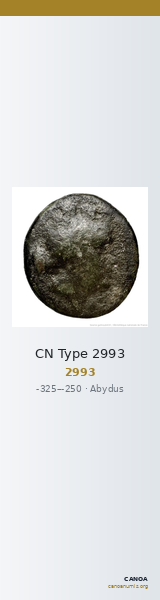 CN Type 2993 — CANOA