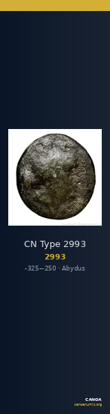 CN Type 2993 — CANOA