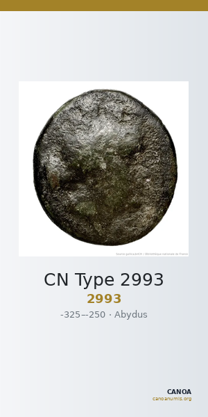 CN Type 2993 — CANOA
