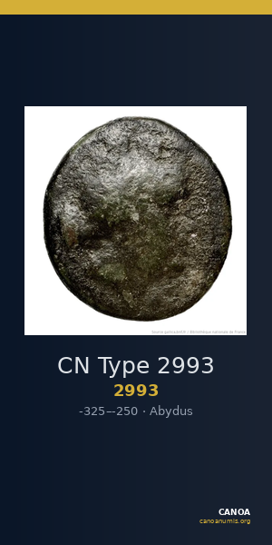 CN Type 2993 — CANOA
