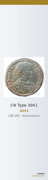 CN Type 3041 — CANOA