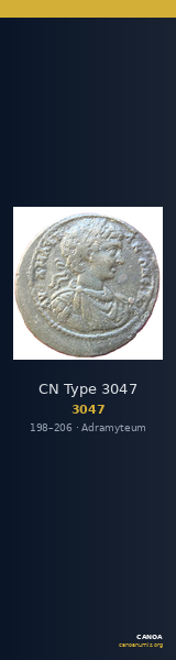 CN Type 3047 — CANOA