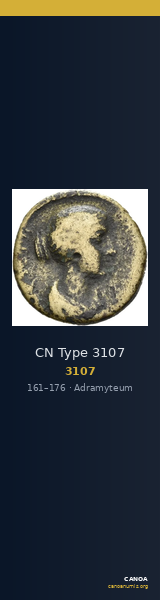 CN Type 3107 — CANOA