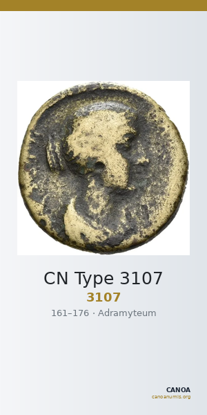 CN Type 3107 — CANOA