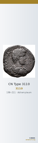CN Type 3110 — CANOA