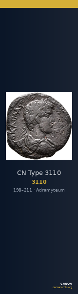 CN Type 3110 — CANOA