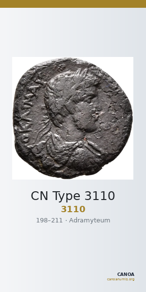 CN Type 3110 — CANOA
