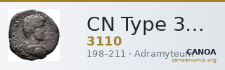 CN Type 3110 — CANOA