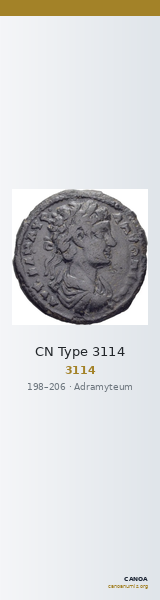 CN Type 3114 — CANOA