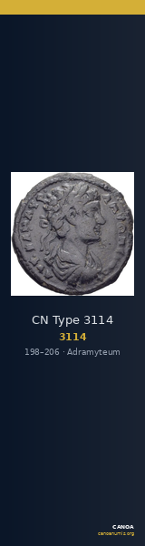 CN Type 3114 — CANOA